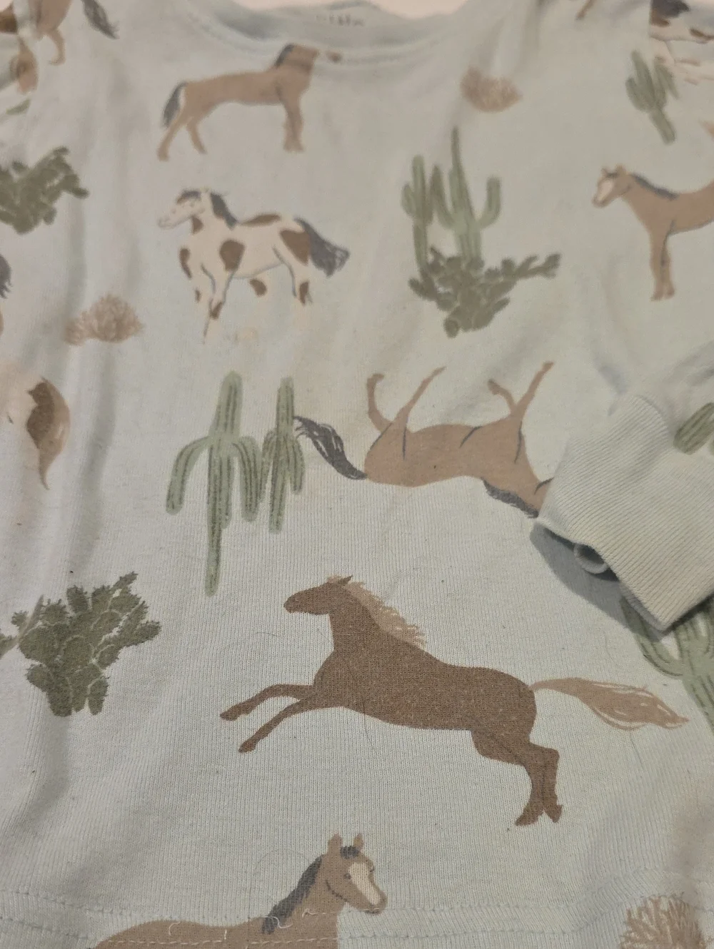 Carter's Light Blue Horse & Cactus Long Sleeve Tee 3t